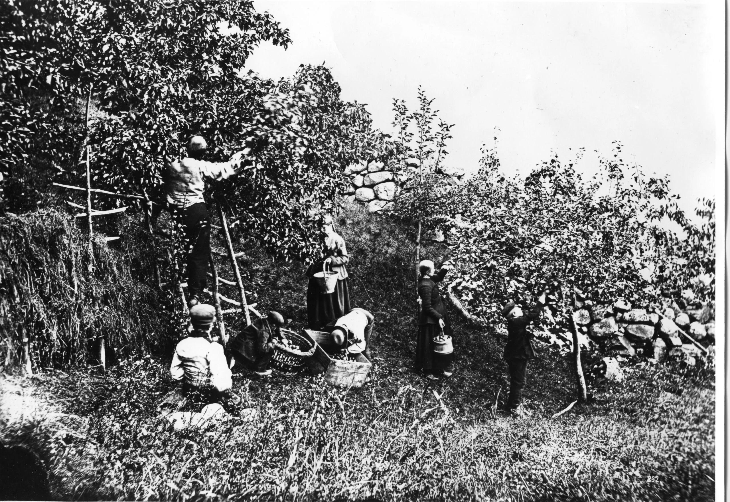 HFU-F.01614