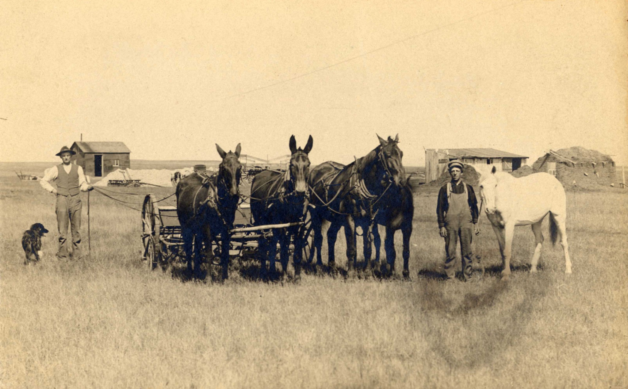 Frå prærien. Tre hestar er spent for ei høyvinde. Eit føll står attmed den eine hesten. To bønder, ein hest og ein hund står på kvar si side av hestespandet.